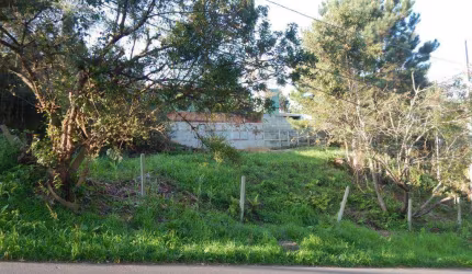Terreno para venda em São João de 1150.00m²