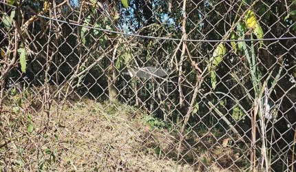 Terreno para venda em Arujázinho I, Ii E Iii de 1245.00m²