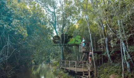 Fazenda / Sítio para venda em Zona Rural de 12.00m² com 7 Quartos