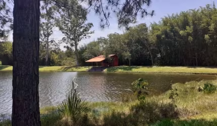 Terreno para venda em Floresta de 1000.00m²