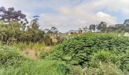 Terreno para venda em Quatro Barras de 1534.00m²