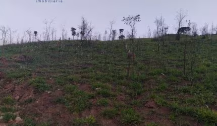 Terreno para venda em Botujuru (botujuru) de 20456.00m²