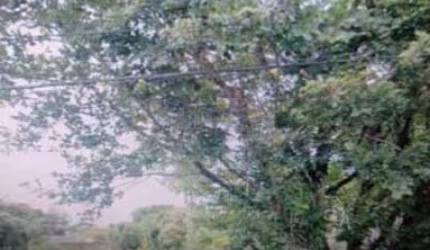Lote / Terreno para venda em São Braz de 2486.00m² com 1 Quarto