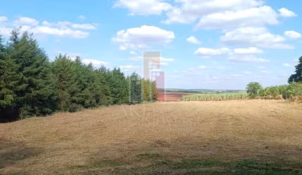 Terreno para venda em Residencial Arco Iris de 3150.00m²
