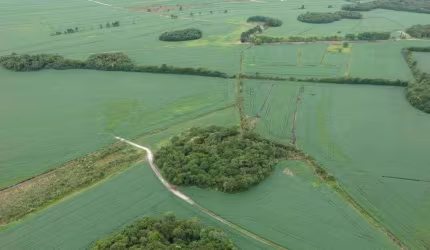 Lote / Terreno para venda em Tijucas Do Sul de 5320000.00m² com 1 Quarto