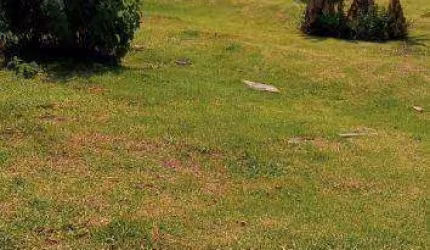 Terreno en Condomínio para venda em Itapevi de 509.00m²
