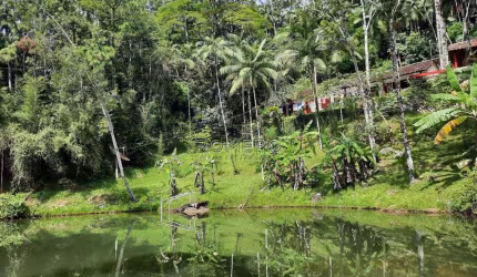 Chácara para venda em Sertão Da Quina de 45000.00m² com 2 Quartos, 1 Suite e 8 Garagens