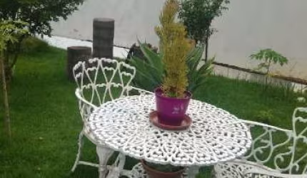Casa para venda em Jardim Maringá de 300.00m² com 2 Quartos, 1 Suite e 4 Garagens