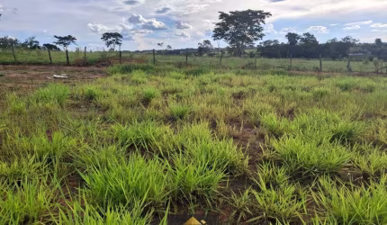 Terreno para venda em Setcity de 200.00m²