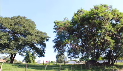 Terreno para venda em São Pedro de 5925.00m²