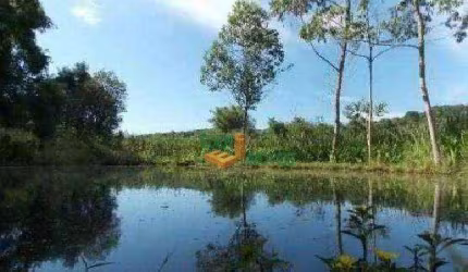 Fazenda / Sítio para venda em Paruru de 190.00m² com 3 Quartos e 1 Suite
