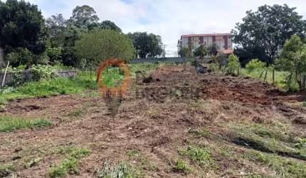 Terreno para venda em Vila Nova Aparecida de 3000.00m²