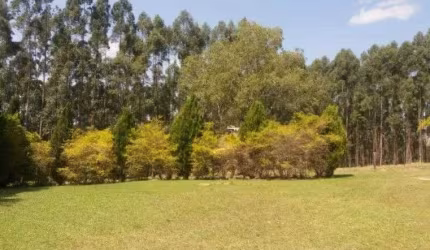 Fazenda / Sítio para venda em Arapoti de 1116000.00m² com 3 Quartos e 10 Garagens