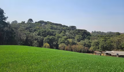 Chácara para venda em Capela Velha de 20000.00m² com 1 Quarto
