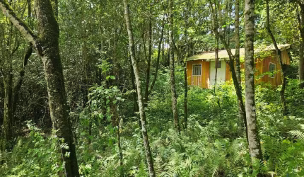 Chácara para venda em São Miguel de 11000.00m² com 1 Quarto