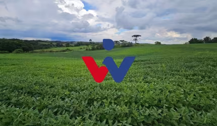 Fazenda / Sítio para venda em Campo Magro de 48400.00m² com 1 Quarto