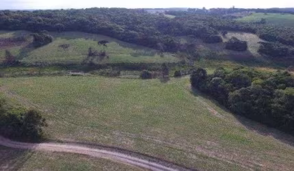 Chácara para venda em Lapa de 677600.00m² com 2 Quartos