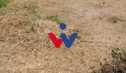 Terreno para venda em Barigui de 840.00m²
