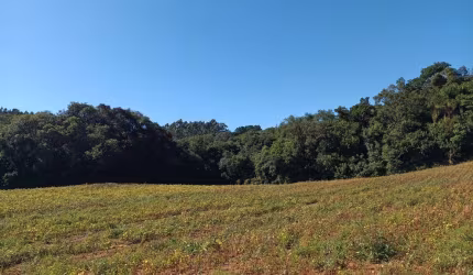 Chácara para venda em Área Rural De Araucária de 23482.00m² com 1 Quarto