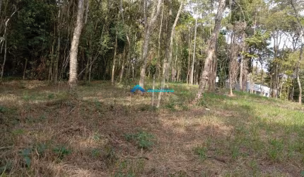Terreno para venda em JARDIM COLÔNIA de 10000.00m²