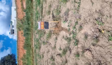 Terreno para venda em Parque São Camilo de 263.00m²