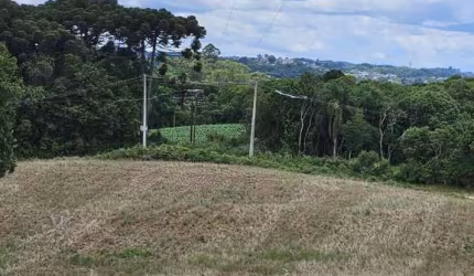 Casa para venda em Vila David Antônio de 20600.00m² com 1 Quarto