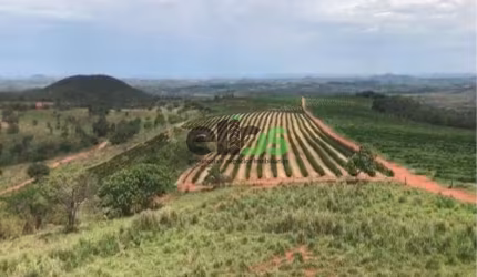 Fazenda / Sítio para venda em Centro de 1674.00m² com 1 Quarto