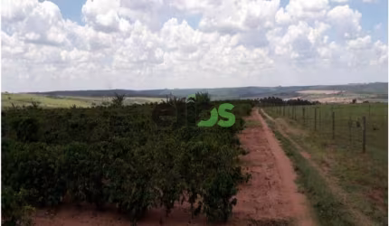 Fazenda / Sítio para venda em Vila Maria de 15.50m² com 1 Quarto