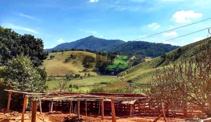 Fazenda / Sítio para venda em Centro de 10.00m² com 1 Quarto