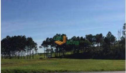 Imóvel Comercial para venda e aluguel em Vila Artura de 10900.00m²