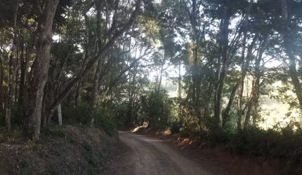 Terreno para venda em Ortizes de 1000.00m²