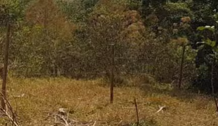 Lote / Terreno para venda em Salto De Baixo de 1400.00m²