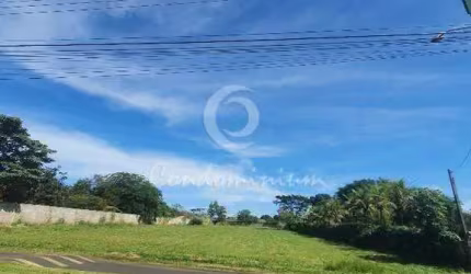 Terreno para venda em Residencial Jardim Das Acácias de 5006.00m²