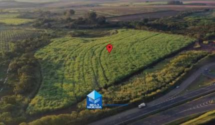 Lote / Terreno para venda em Palmeiras de 162000.00m²