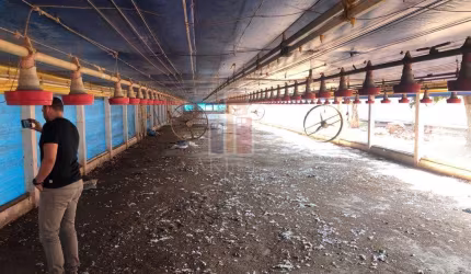 Fazenda / Sítio para venda em Centro de 500.00m² com 2 Quartos e 2 Garagens