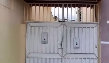 Sobrado para alugar em Vila Brasília de 45.00m² com 1 Quarto e 2 Garagens