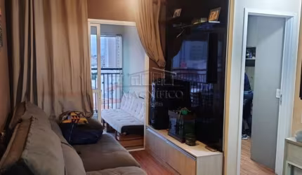 Venda Apartamento São Caetano do Sul Osvaldo Cruz