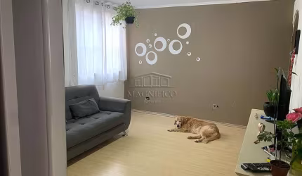 Venda Apartamento São Caetano do Sul São José