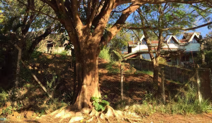 Terreno à venda de 390 m² no bairro Jardim Paulista - Atibaia/SP - TE1784