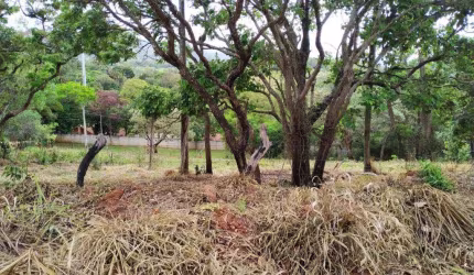Terreno à venda de 594 m² no Jardim Paulista em Atibaia/SP - TE1003