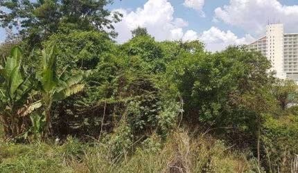 Terreno à venda, 292 m² por R$ 128.000 - Jardim Santo Antônio - Atibaia/SP