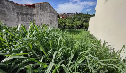 Terreno à venda, 300 m² no Cidade Satélite - Atibaia/SP - TE2421
