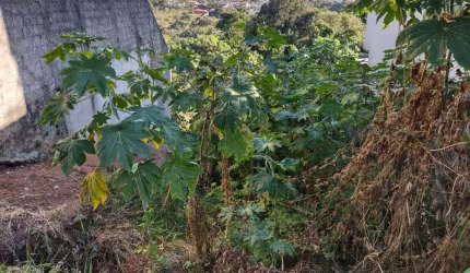 Terreno à venda, 565m² no Cidade Satélite - Atibaia/SP - TE2510