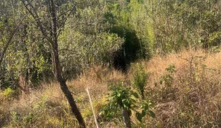 Terreno à venda, 4440 m² no Clube da Montanha - Atibaia/SP