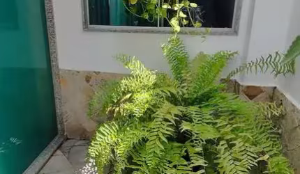 Casa no presidente Vargas