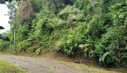 Terreno de 700m² no Félix, alto, vista mar