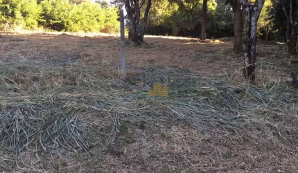 Terreno à venda, 5000 m² por R$ 1.100.000,00 - Colinas do Mosteiro de Itaici - Indaiatuba/SP