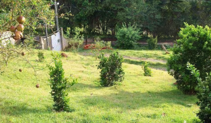Chácara com 2 dormitórios à venda, 2700 m² por R$ 490.000,00 - Recanto dos Lagos - Juiz de Fora/MG