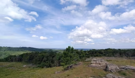 Chácara à venda, 20000 m² por R$ 989.900,00 - São Luiz do Purunã - Balsa Nova/PR