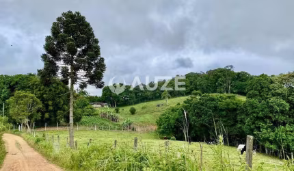 Chácara à venda 3 Alqueires e 907,50 m² Areia Branca Dos Assis, Mandirituba, PR